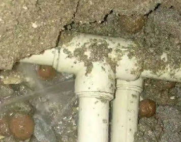 友谊测漏水多少钱