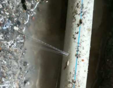 友谊测漏水哪家好