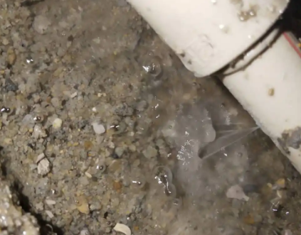 友谊测漏水电话号码