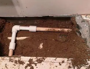 友谊测漏水哪家好