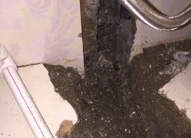 友谊卫生间测漏水哪家好