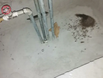 友谊卫生间测漏水价格明细