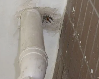 友谊漏水检测哪家好